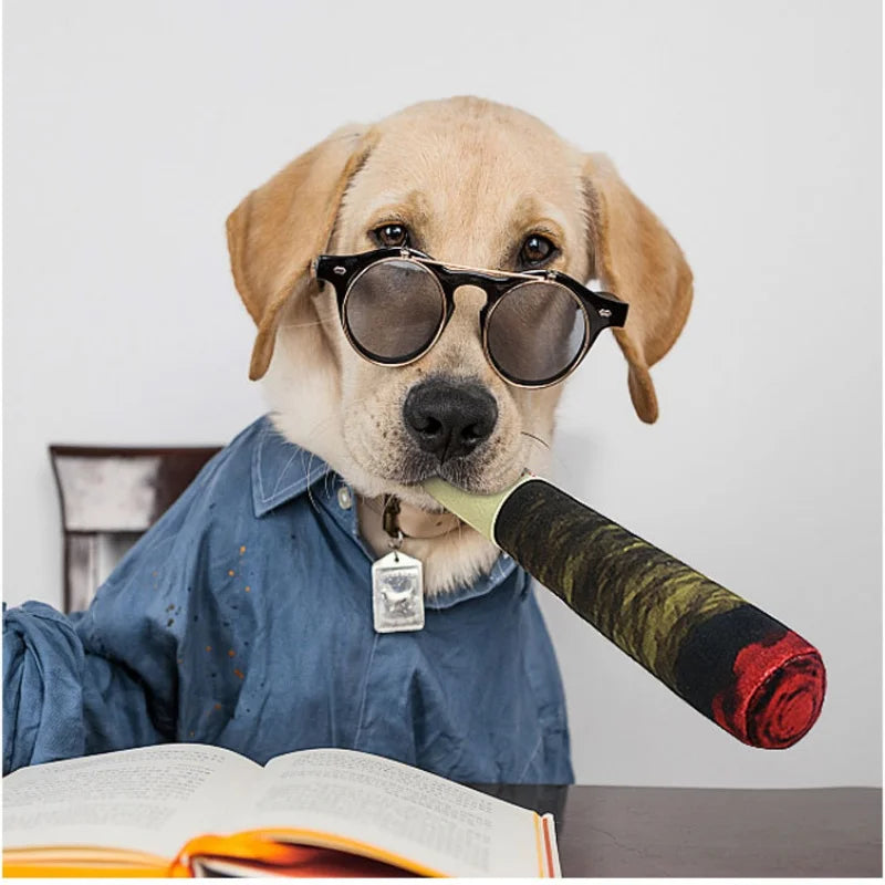 Pluszowe Blant z Piszczałką – Interaktywna Zabawka dla Psa